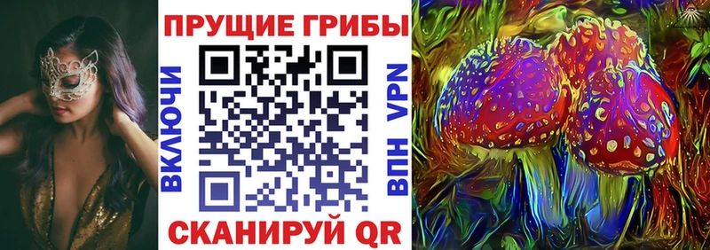 Псилоцибиновые грибы ЛСД  Томилино 